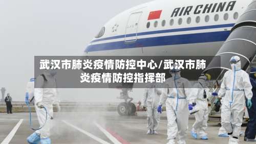 武汉市肺炎疫情防控中心/武汉市肺炎疫情防控指挥部-第1张图片