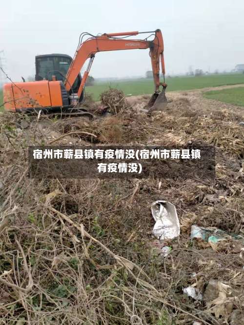 宿州市蕲县镇有疫情没(宿州市蕲县镇有疫情没)-第1张图片