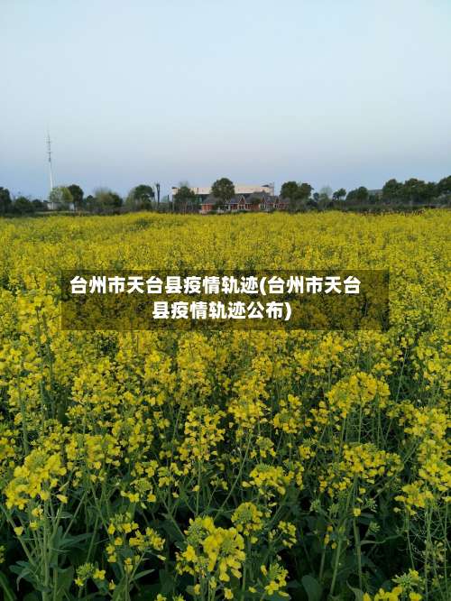 台州市天台县疫情轨迹(台州市天台县疫情轨迹公布)-第1张图片