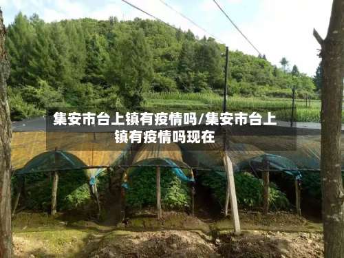 集安市台上镇有疫情吗/集安市台上镇有疫情吗现在-第1张图片