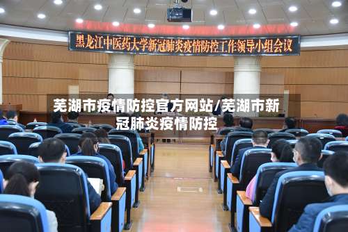 芜湖市疫情防控官方网站/芜湖市新冠肺炎疫情防控-第2张图片