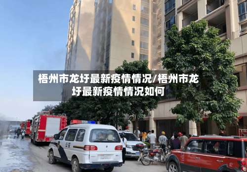 梧州市龙圩最新疫情情况/梧州市龙圩最新疫情情况如何-第1张图片