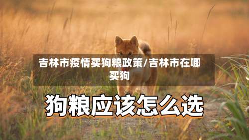 吉林市疫情买狗粮政策/吉林市在哪买狗-第1张图片