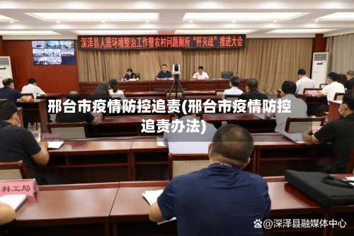 邢台市疫情防控追责(邢台市疫情防控追责办法)-第2张图片