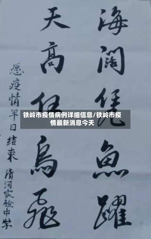 铁岭市疫情病例详细信息/铁岭市疫情最新消息今天-第2张图片