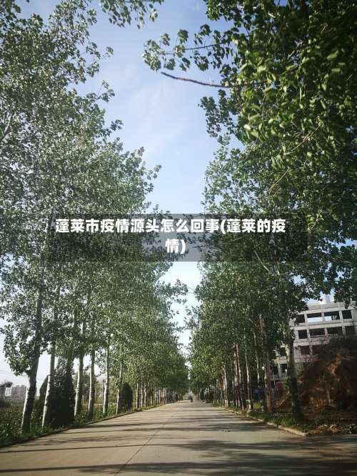 蓬莱市疫情源头怎么回事(蓬莱的疫情)-第1张图片