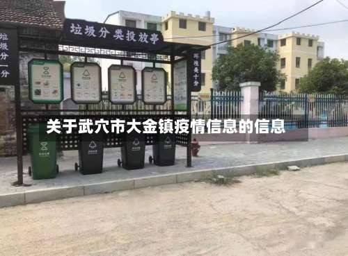 关于武穴市大金镇疫情信息的信息-第1张图片