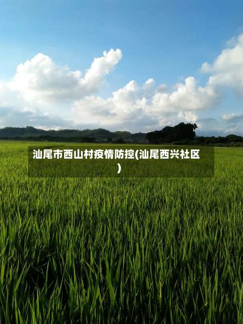 汕尾市西山村疫情防控(汕尾西兴社区)-第2张图片