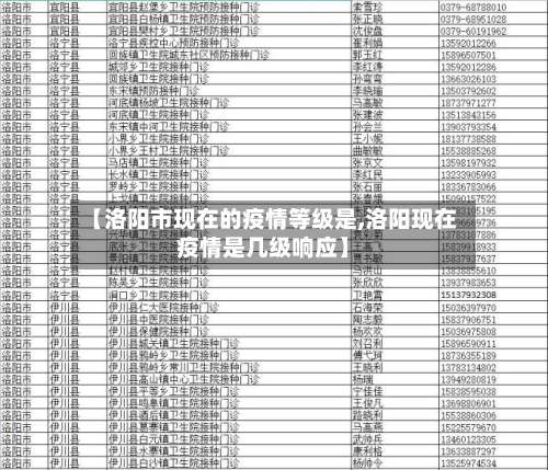 【洛阳市现在的疫情等级是,洛阳现在疫情是几级响应】-第3张图片