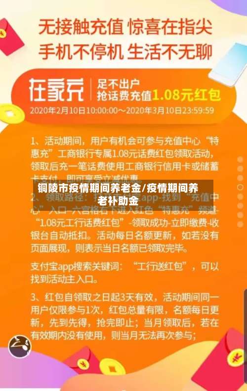 铜陵市疫情期间养老金/疫情期间养老补助金-第1张图片