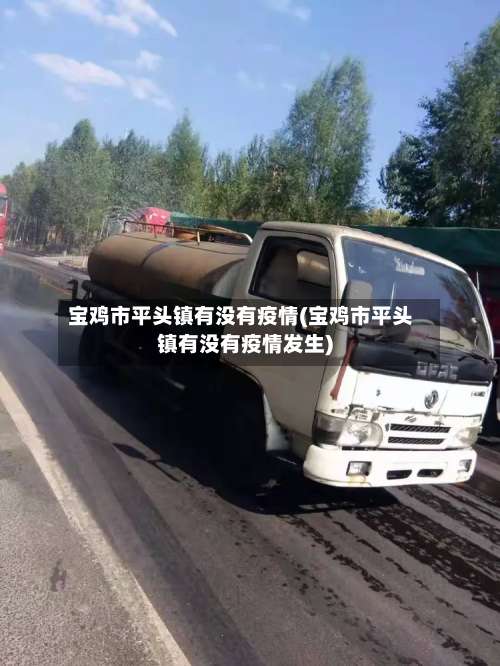 宝鸡市平头镇有没有疫情(宝鸡市平头镇有没有疫情发生)-第1张图片
