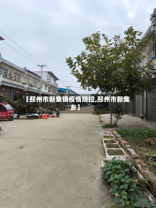 【邳州市新集镇疫情防控,邳州市新集乡】-第2张图片