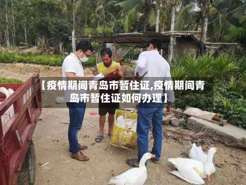 【疫情期间青岛市暂住证,疫情期间青岛市暂住证如何办理】-第1张图片