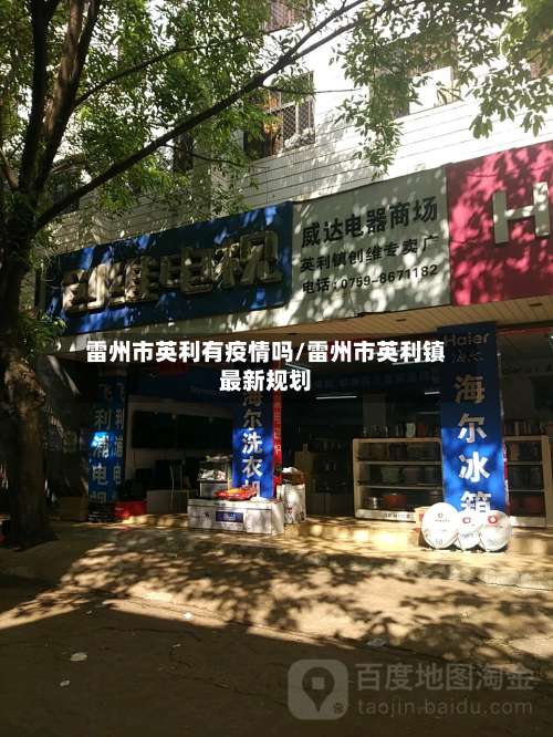 雷州市英利有疫情吗/雷州市英利镇最新规划-第1张图片