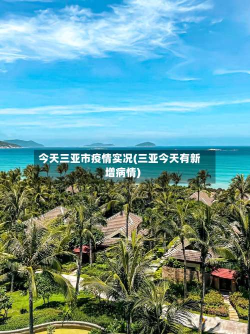 今天三亚市疫情实况(三亚今天有新增病情)-第1张图片