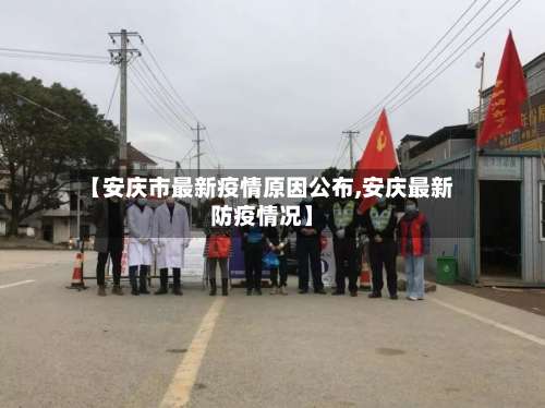 【安庆市最新疫情原因公布,安庆最新防疫情况】-第2张图片