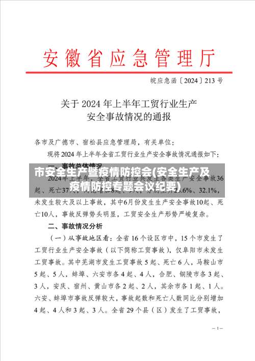 市安全生产暨疫情防控会(安全生产及疫情防控专题会议纪要)-第1张图片