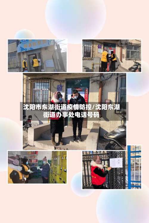 沈阳市东湖街道疫情防控/沈阳东湖街道办事处电话号码-第1张图片