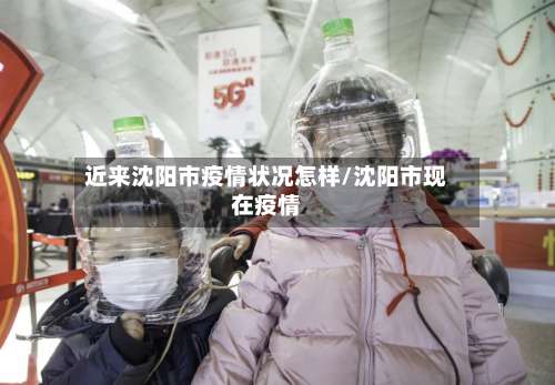 近来沈阳市疫情状况怎样/沈阳市现在疫情-第2张图片