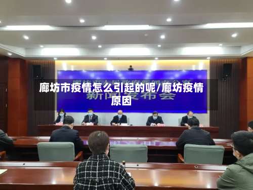 廊坊市疫情怎么引起的呢/廊坊疫情原因-第1张图片