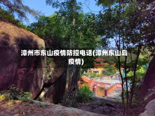 漳州市东山疫情防控电话(漳州东山岛疫情)-第1张图片