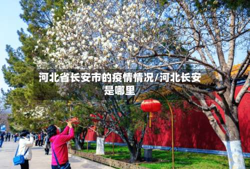 河北省长安市的疫情情况/河北长安是哪里-第1张图片