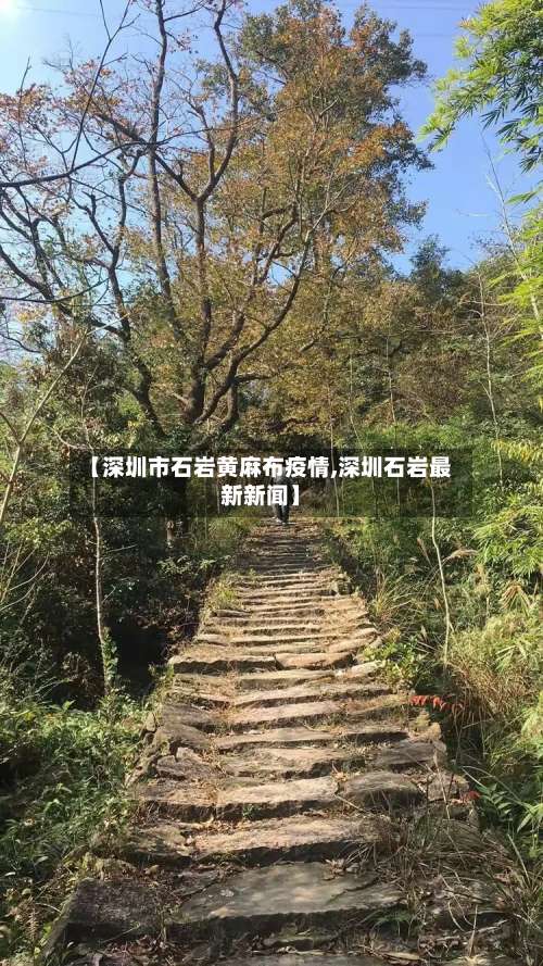 【深圳市石岩黄麻布疫情,深圳石岩最新新闻】-第1张图片
