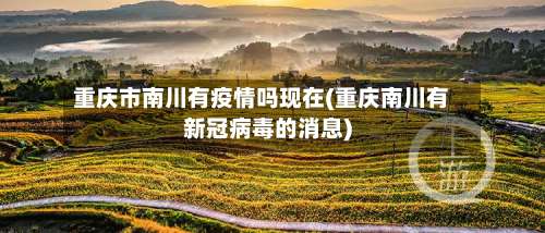 重庆市南川有疫情吗现在(重庆南川有新冠病毒的消息)-第1张图片