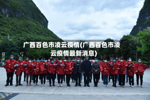 广西百色市凌云疫情(广西百色市凌云疫情最新消息)-第1张图片