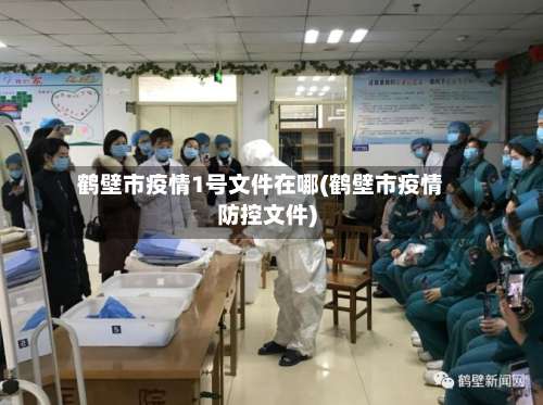 鹤壁市疫情1号文件在哪(鹤壁市疫情防控文件)-第2张图片