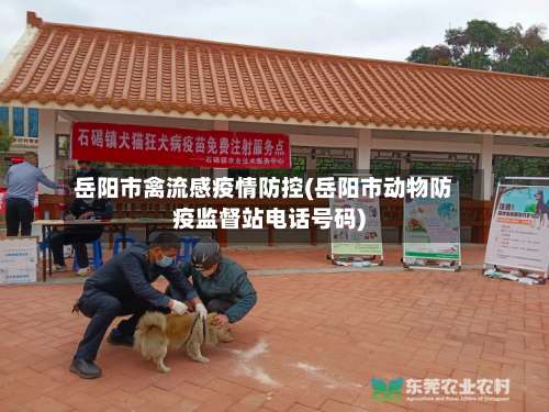 岳阳市禽流感疫情防控(岳阳市动物防疫监督站电话号码)-第1张图片