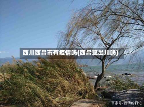 西川西昌市有疫情吗(西昌算出川吗)-第1张图片