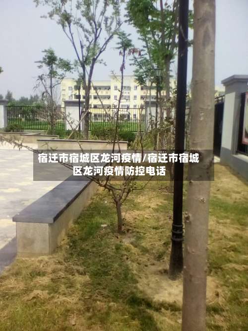 宿迁市宿城区龙河疫情/宿迁市宿城区龙河疫情防控电话-第2张图片