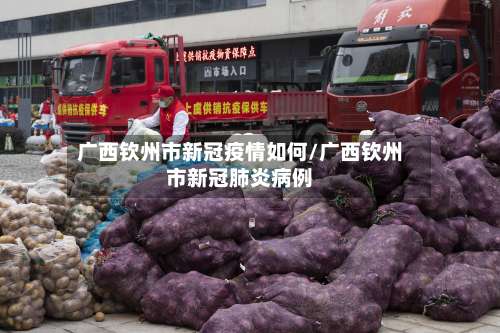 广西钦州市新冠疫情如何/广西钦州市新冠肺炎病例-第1张图片