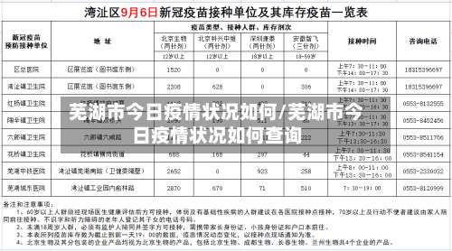 芜湖市今日疫情状况如何/芜湖市今日疫情状况如何查询-第3张图片