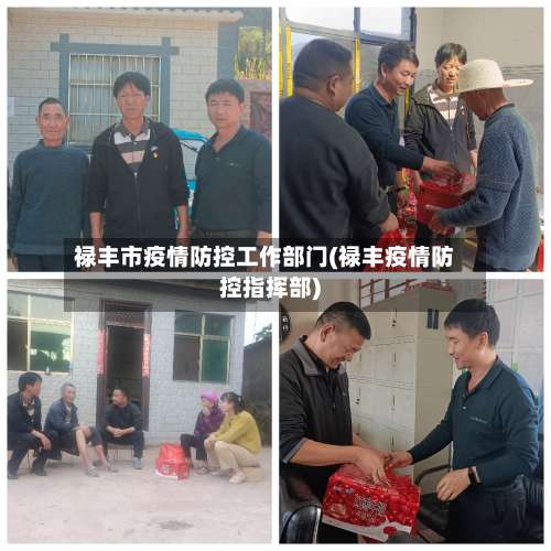 禄丰市疫情防控工作部门(禄丰疫情防控指挥部)-第1张图片