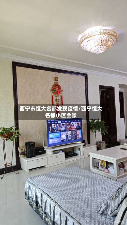 西宁市恒大名都发现疫情/西宁恒大名都小区全景-第1张图片