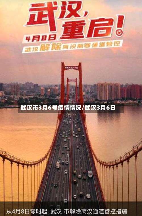 武汉市3月6号疫情情况/武汉3月6日-第3张图片