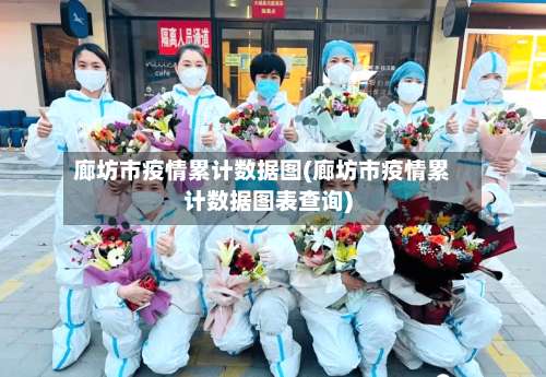 廊坊市疫情累计数据图(廊坊市疫情累计数据图表查询)-第2张图片
