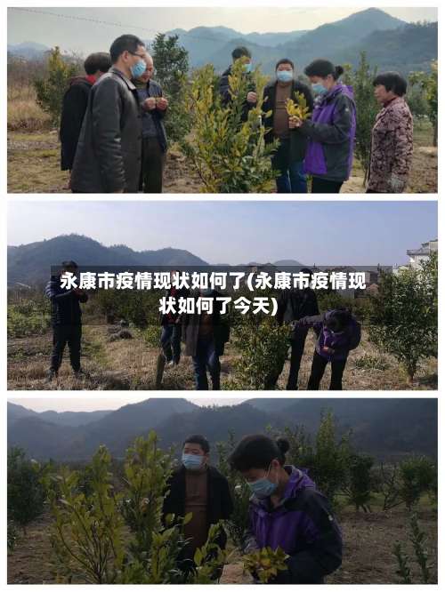 永康市疫情现状如何了(永康市疫情现状如何了今天)-第1张图片