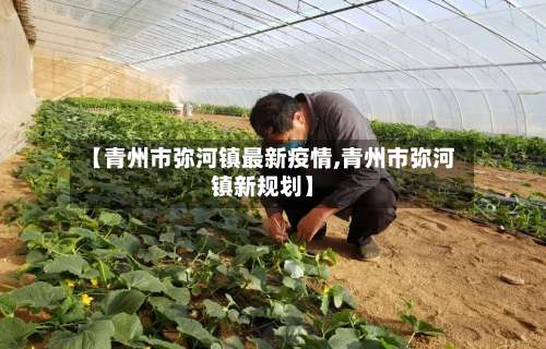 【青州市弥河镇最新疫情,青州市弥河镇新规划】-第2张图片