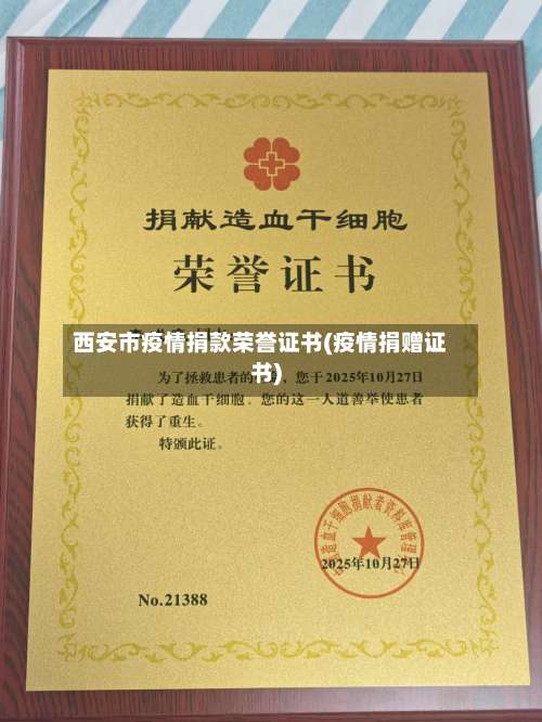 西安市疫情捐款荣誉证书(疫情捐赠证书)-第2张图片