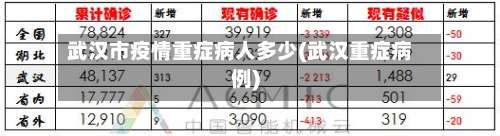 武汉市疫情重症病人多少(武汉重症病例)-第1张图片