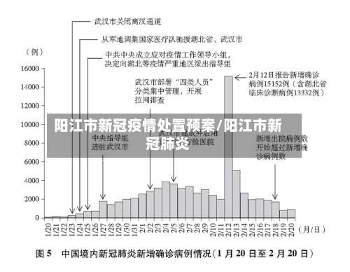 阳江市新冠疫情处置预案/阳江市新冠肺炎-第1张图片