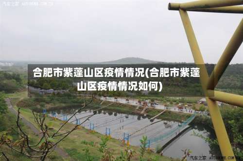 合肥市紫蓬山区疫情情况(合肥市紫蓬山区疫情情况如何)-第3张图片