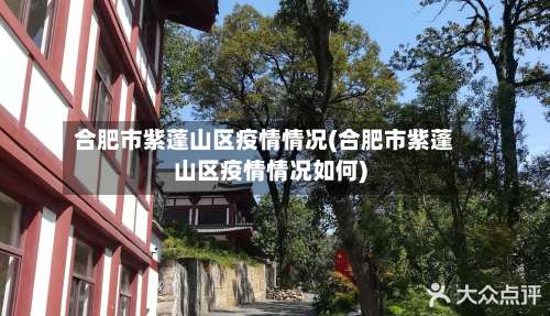 合肥市紫蓬山区疫情情况(合肥市紫蓬山区疫情情况如何)-第1张图片