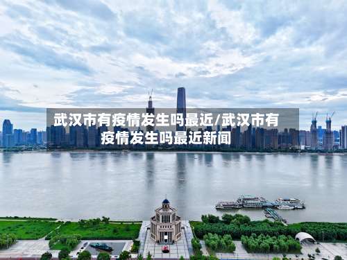 武汉市有疫情发生吗最近/武汉市有疫情发生吗最近新闻-第3张图片
