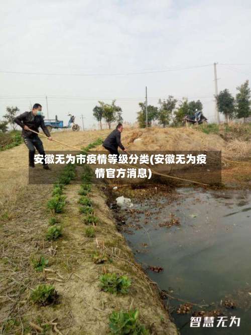 安徽无为市疫情等级分类(安徽无为疫情官方消息)-第1张图片
