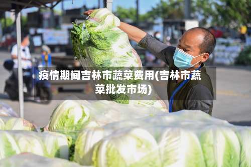 疫情期间吉林市蔬菜费用(吉林市蔬菜批发市场)-第2张图片