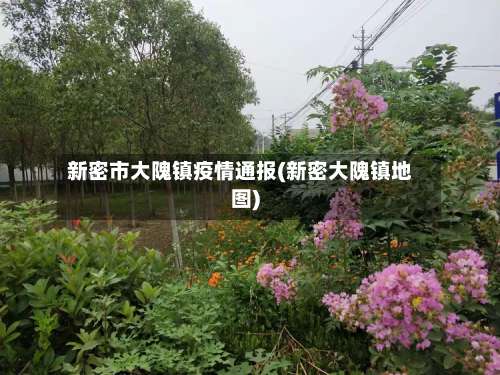 新密市大隗镇疫情通报(新密大隗镇地图)-第1张图片